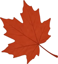 Bottom Left Red Maple Leaf