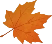Bottom Right Orange Maple Leaf