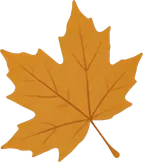 Top Left Yellow Maple Leaf