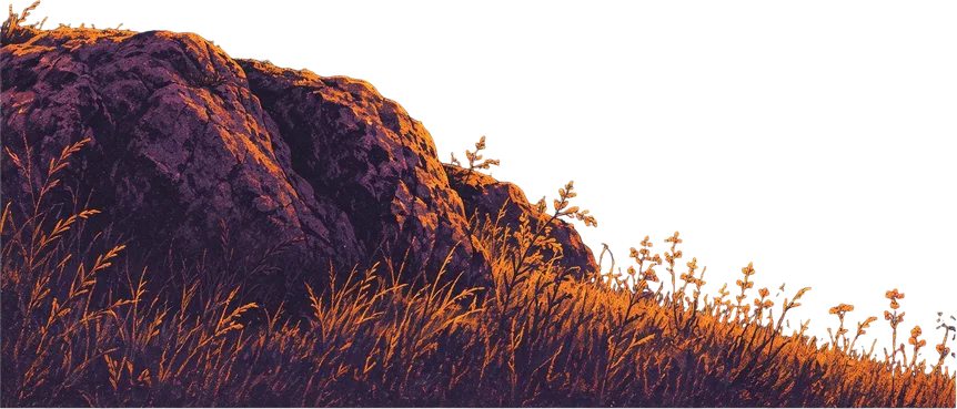 Foreground Rock and Grass