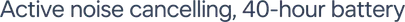 Subtitle Feature Text